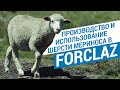 Производство и использование шерсти мериноса в Forclaz (Преимущества мериносовой шерсти) | Декатлон