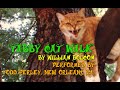 Tabby cat walk by william bolcom performed by todd perley