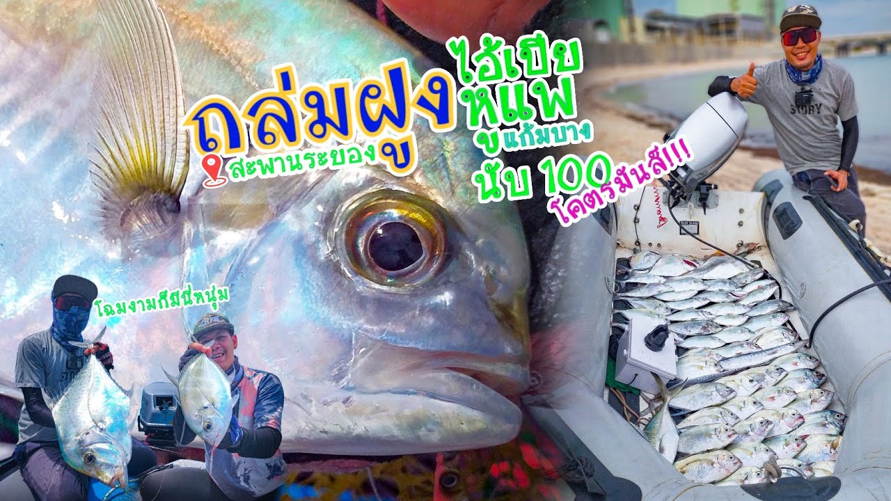 ถล่มยับ!!! ฝูงปลาไอ้เปีย[ไอ้เปี้ยะ] หูแพ[แก้มบาง] สะพานระยองฮิ สุดมันส์ กับ  ​⁠@MrPannarit