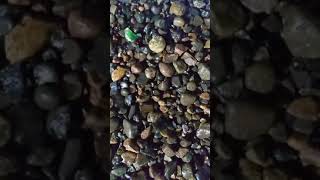 IMG 20240210 211653