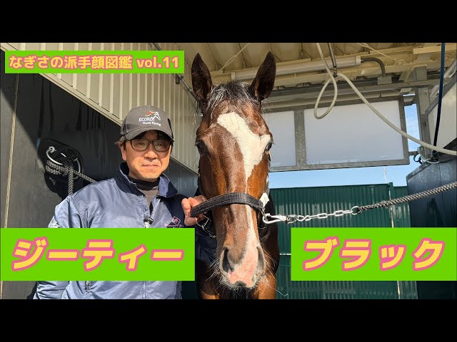 Nagisa's Flashy Face Picture Book] Vol.11 GT Black (Miho, Takanori