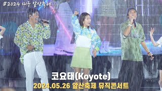 [4K/60F] 코요태(Koyote) - 워터밤을 방불케 했던 앞산축제 뮤직콘서트 / 240526