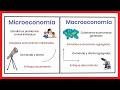 MACROECONOMÍA y MICROECONOMÍA | Diferencias y relación