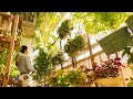 SUB | 秋のベランダを楽しむコツ5つ