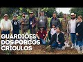 1° Encontro Brasileiro de Criadores de Porcos Crioulos