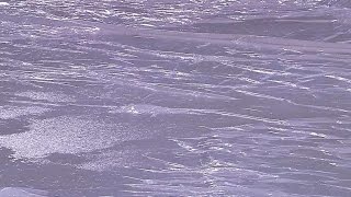 TB@CWS: Start of Rays-White Sox game delayed by rain