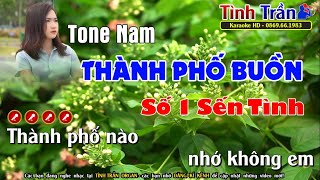 Thành Phố Buồn Karaoke Nhạc Sống Tone Nam - Tình Trần Organ