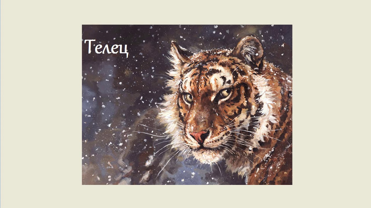 тату эскизы тигр и скорпион. лев родившийся в год тигра. лев родившийся в год тигра. знак зодиака лев. лев зодиак символ.