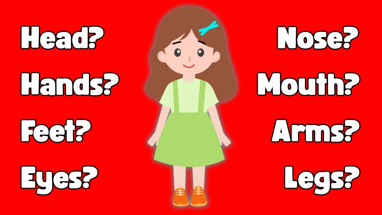English Learning | Parts of the Body | Anatomy for Kids - YouTube