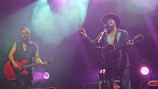 Watch Peter Doherty Dont Look Back Into The Sun video
