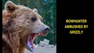 Grizzly Attacks Bowhunter at Point-Blank Range in Montana's Elk Creek