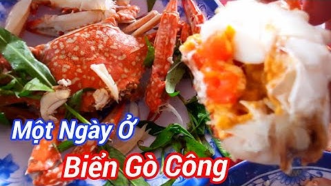 Ăn Hải Sản và dạo chơi ở Biển Tân Thành Gò Công - phùng bắc tv #94