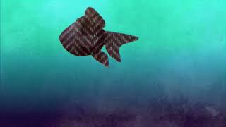 【コマ撮り】池の中の金魚
