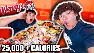 Ordering The ENTIRE WENDYS MENU (25,000+ Calories) by Ireland Boys Productions 235,068 views 2 months ago 20 minutes