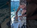 Lots Of Lessons Most Still Unlearnt Sailboat Whitsundays Aus