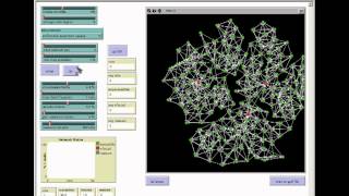 Virus on a Network   1