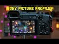 Ищем лучший Picture Profile в камерах Sony для тебя/ PPoff vs Cine vs SLog vs Custom