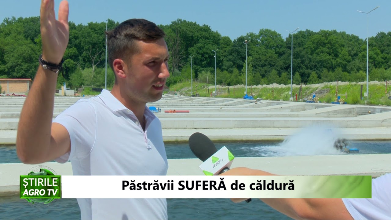 Canicula afectează crescătoriile de păstrăvi! Aeratoarele țin în viață peștii 1 Canicula afectează crescătoriile de păstrăvi! Aeratoarele țin în viață peștii YouTube player