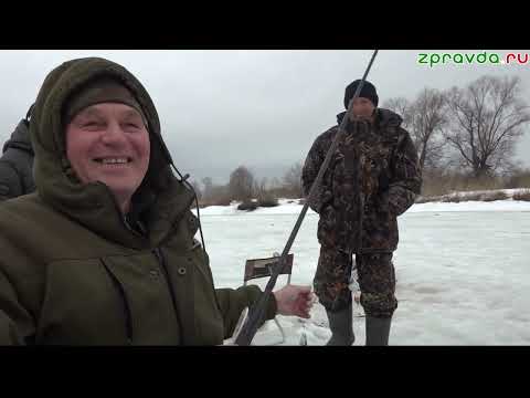 Новости Зеленодольска на русском языке от 03.04.2026