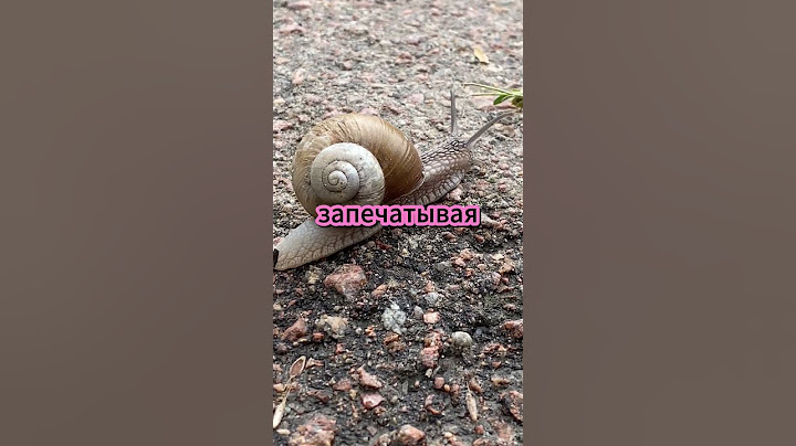 Улитки умеют это?! Шокирующие факты о моллюсках 🐌