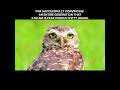 Undisputed king of nightshift #darkhumor #insomnia #latenightthoughts #owlsofınstagram #latent
