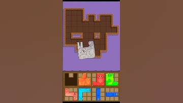 Puzzle Cats - Gameplay Walkthrough (IOS & ANDROID) #games #gaming #funny #shorts #usa