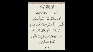 سورة الفيل، بصوت القارىء الشيخ محمد الكنتاوي