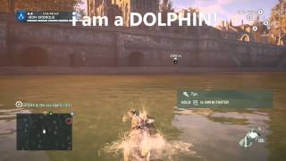 I an a DOLPHIN. AC unity