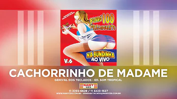 Qual a raça de cachorro de madame?