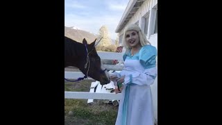 Horse Visit and Crafts | Ellie Elliott as the Swan Princess