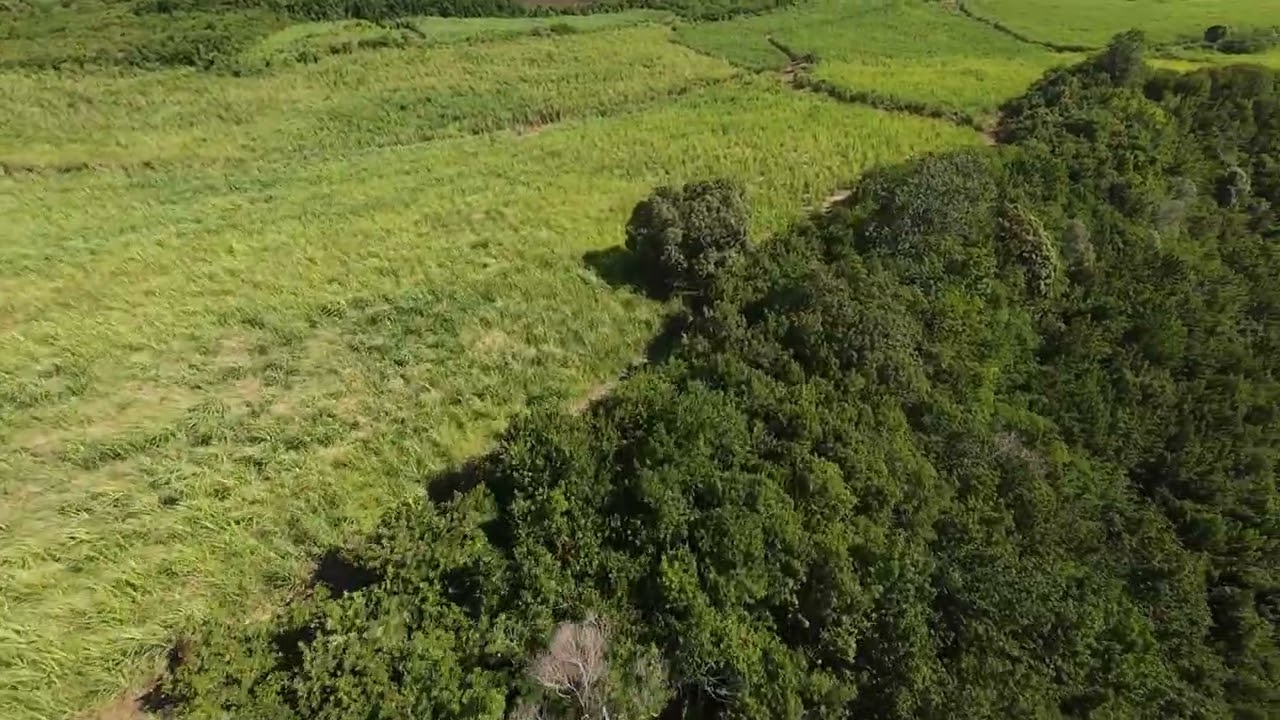 Naâman - Toi et moi à La Réunion