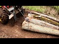 Ťažba hrubých dubov💪, Skidder ORVEX LT 100, Working in forest, GoPro, Stihl ms 462🇸🇰