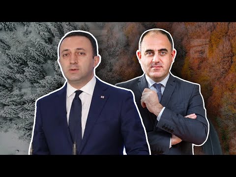 ბაკურიანის და საბადურის ტყეები | პომპეზური საჩუქარი \"ოცნების\" მაღალჩინოსნების ცოლებს
