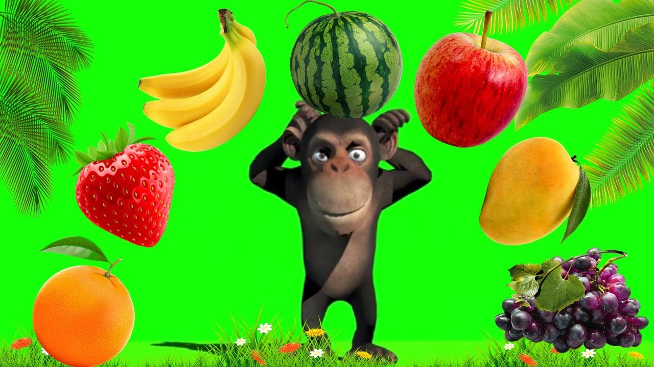 🍎 Learn Fruits with Funny Monkey 🍊🍌🍉🍇🍓🥭 Monkey Dance Video 🐒 - YouTube
