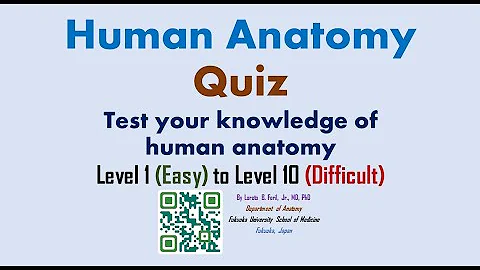 HUMAN ANATOMY QUIZ 3