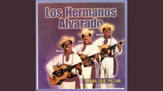 Video thumbnail of "Hermanos Alvarado - FIEL SIERVO SIGUE"