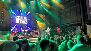Collie Buddz "Gimmie love" (live) at Florida Groves (April 2023)