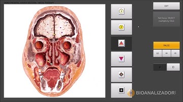 Biophilia Tracker Demo
