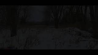 9030 Allegheny Road video tour