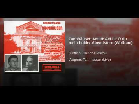 Tannhäuser, Act III: Act III: O du mein holder Abendstern (Wolfram)