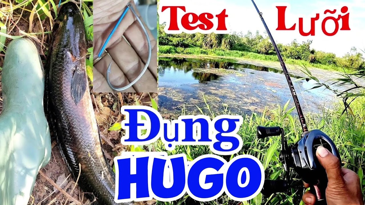 Test lưỡi làm luôn Huro 1kg5 | #Câu cá lóc rừng U Minh Thượng #lure # @huukhuynhkiengiang (tập 62)
