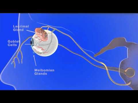 Effect of nasal stimulation on dry eye disease – Video abstract [ID 101716]