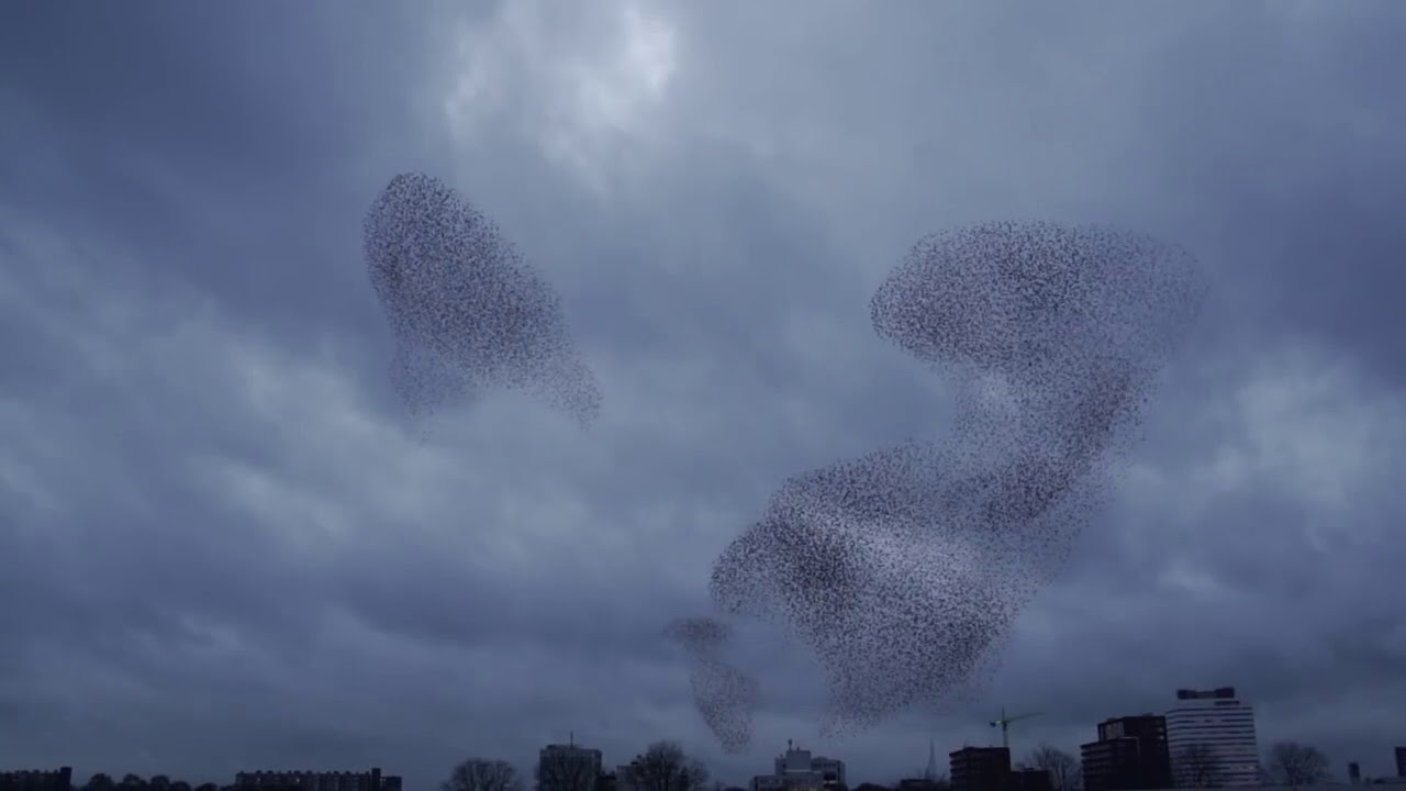 Russel Walder / CONCEPTION - 