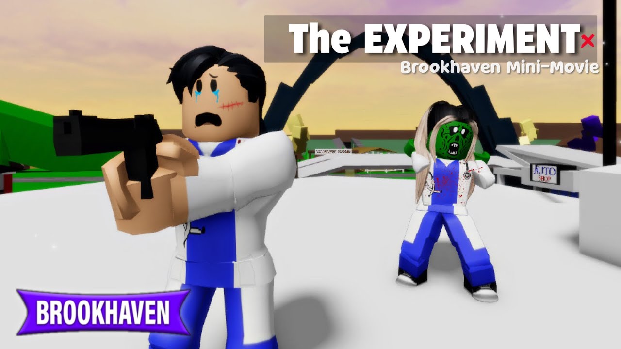 Make roblox brookhaven mini movie for  by Aferaza