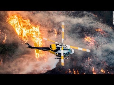 Cảnh sát gấp rút cứu chó mèo khỏi đám cháy rừng California