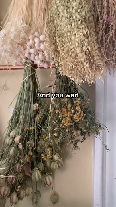 Dried flowers diy