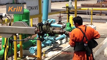 Krill Systems - Who We Are