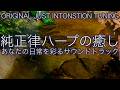 【夜のリラクゼーション】純正律ハープの心から安らぐハーモニー|A=432hz・癒し・ヒーリングBGM 🌿
