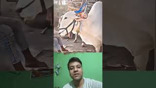 Yeh video jyada se jyada share ho jan8 chaiye #viral