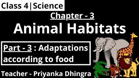 Class 4 | Chapter - 3 : Animal Habitats (Part-3 : Adaptations according to food)